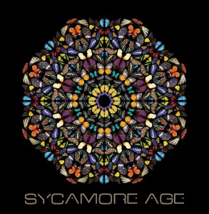 cover sycamore age